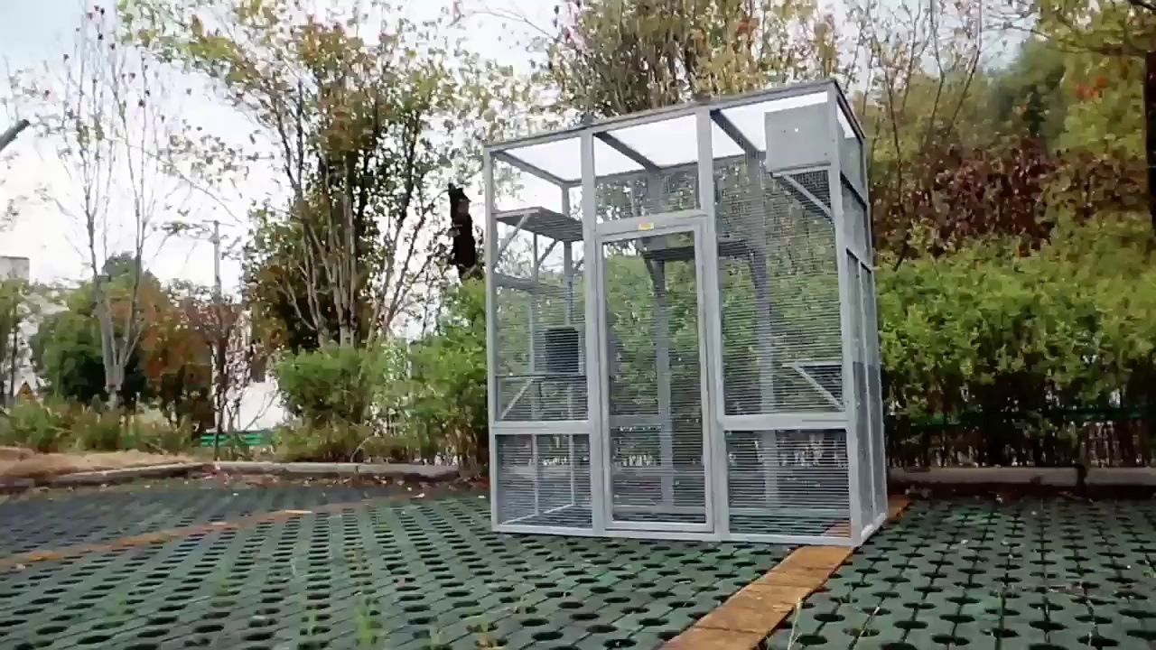 Large Wooden Cat Villa with Climbing Barbed Wire