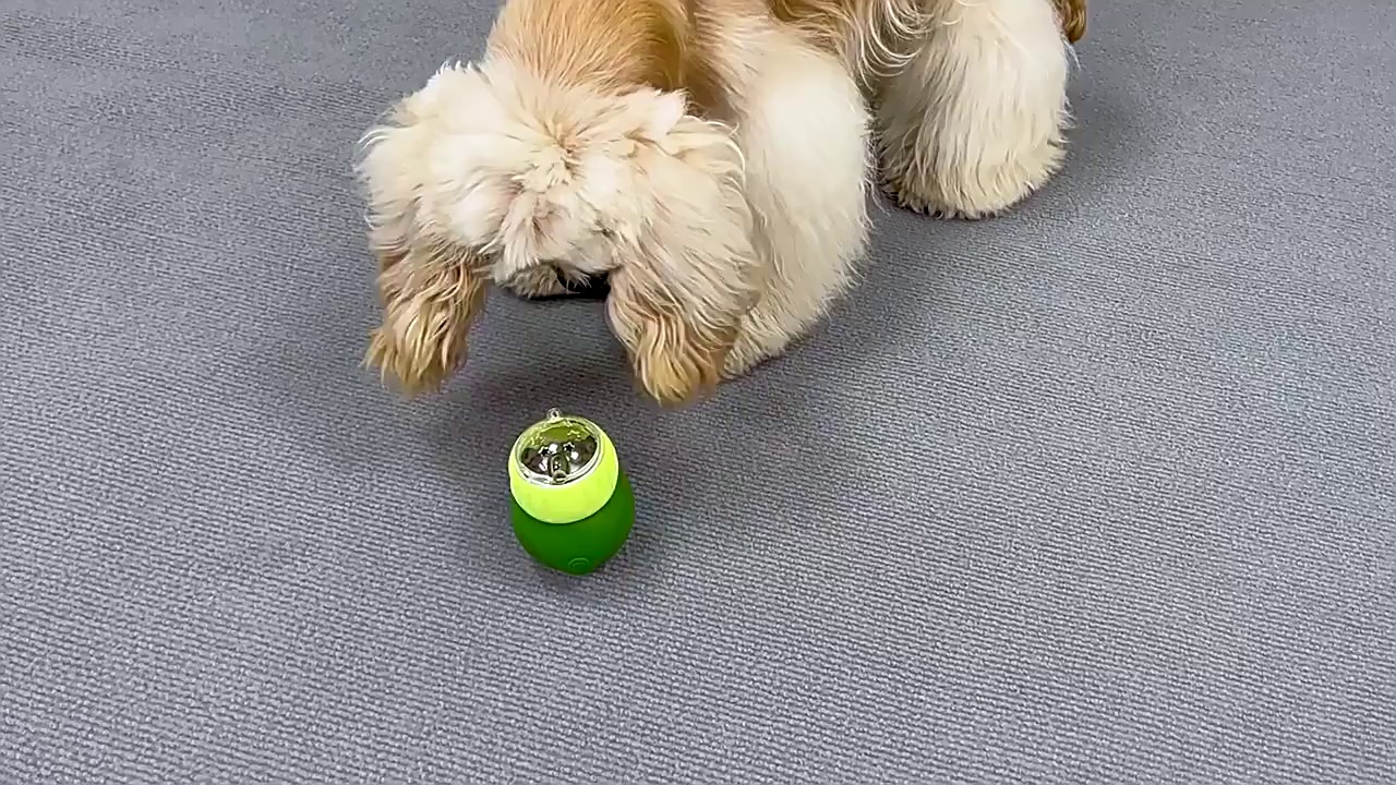Leakproof Slow Feed Pet Bowl for Weight Control