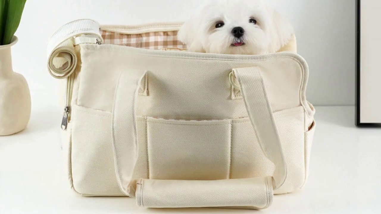 Small Dog Carrier Bag with Large Storage Pockets
