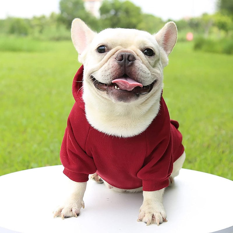 Fashion Solid Dog Hoodie With Two Legs
