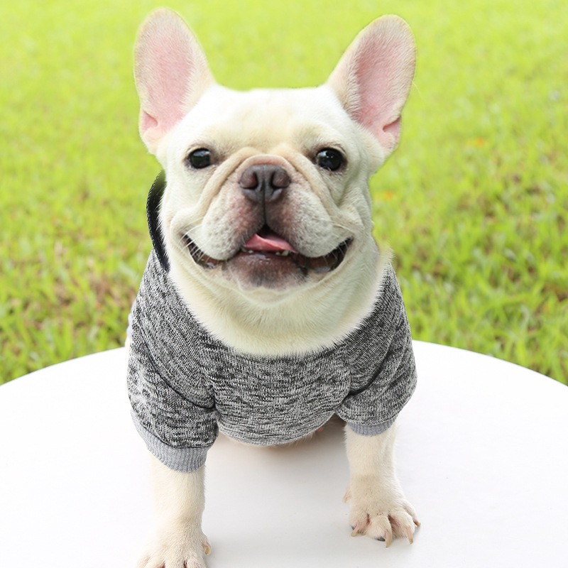 Winter Spring Warm Fleece Dog Hoodies
