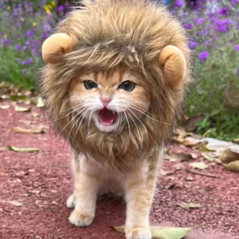 Funny Polyester Wig with Lion Ears for Pets