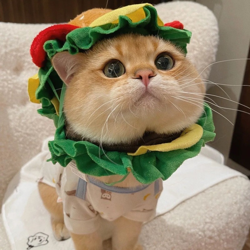 French Fries Bib with Burger Headgear for Cats