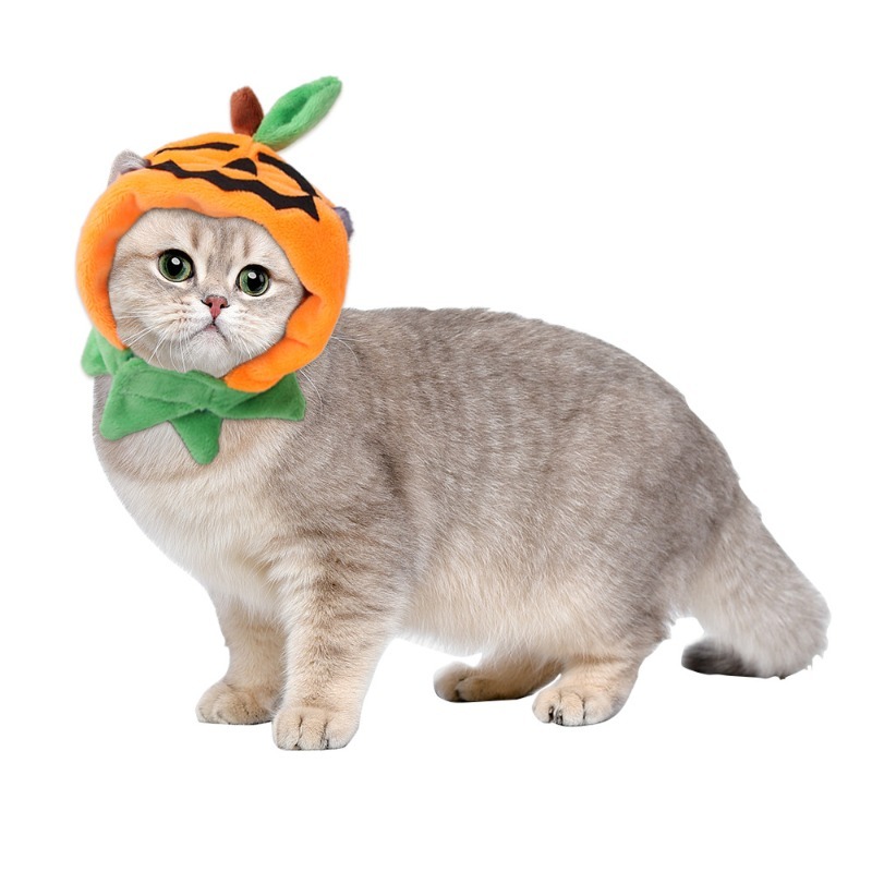 Cute Pumpkin Pet Hat for Halloween Costumes