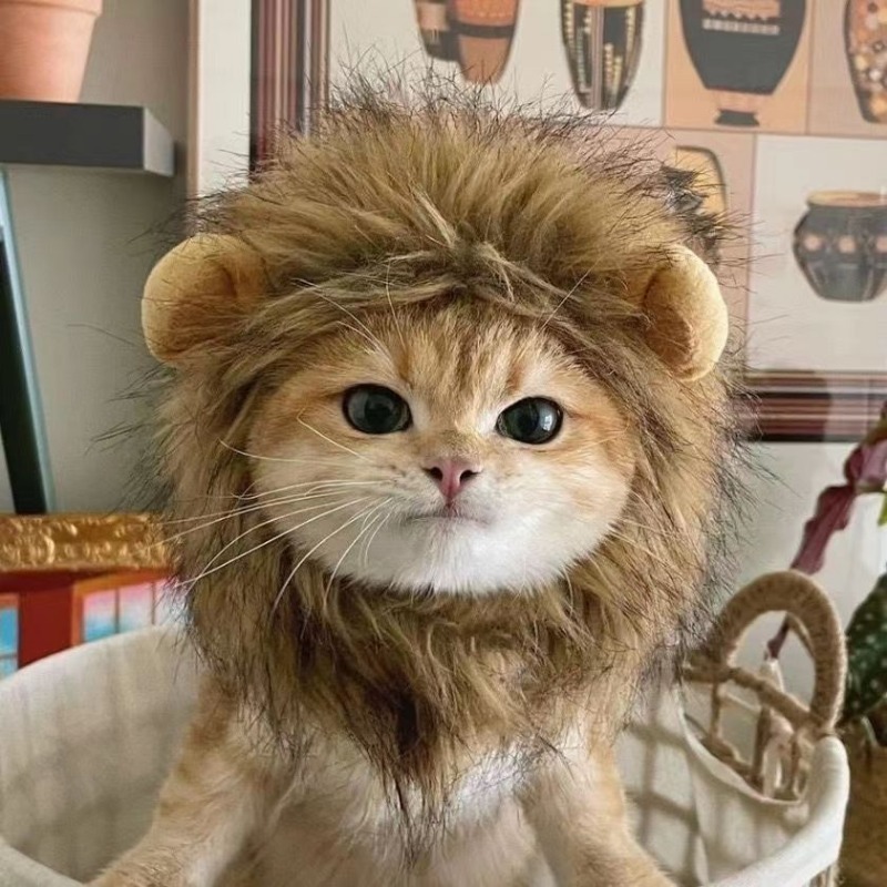 Funny Polyester Wig with Lion Ears for Pets