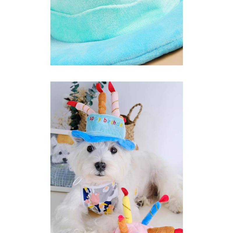 Soft 'Happy Birthday' Pet Party Hat with Candles