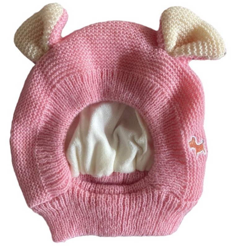 Winter Polyester Dog Hat with Ear Warmers
