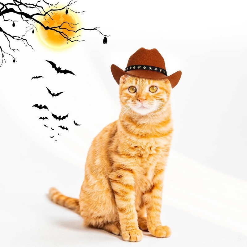 Star-Shaped Cowboy Party Hat for Pets