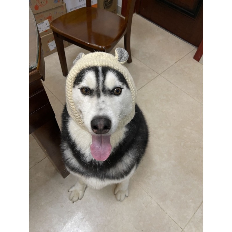 Winter Polyester Dog Hat with Ear Warmers