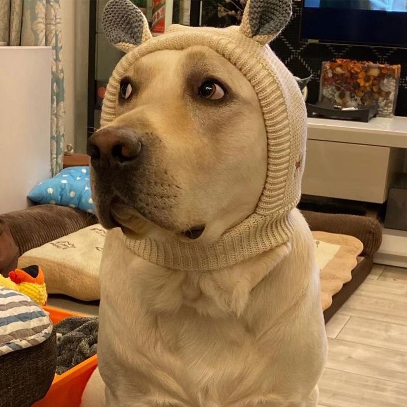Winter Polyester Dog Hat with Ear Warmers