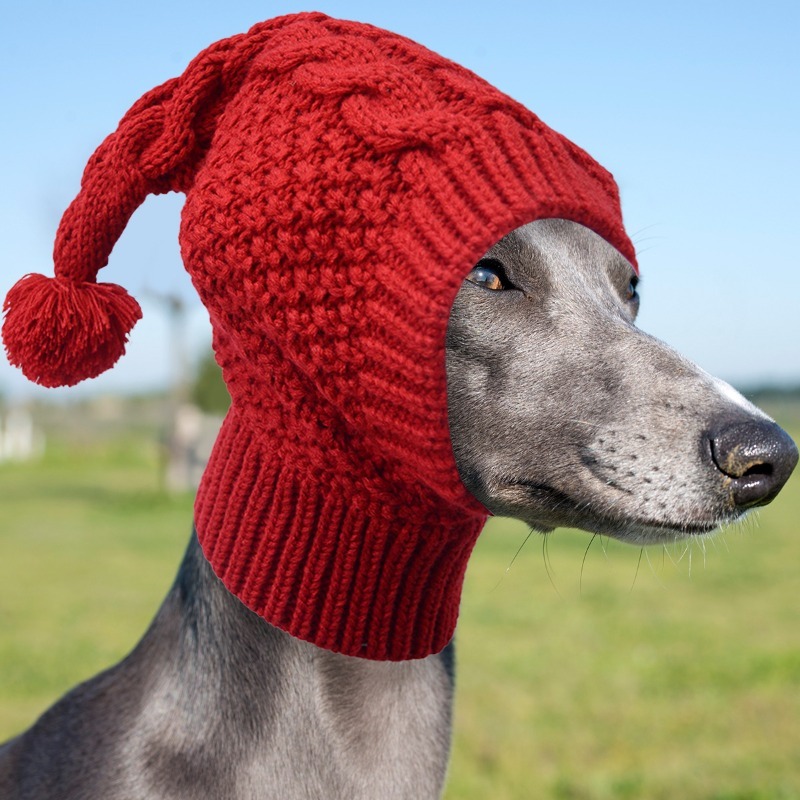 Yarn Warming Hat for Whippets and Greyhounds