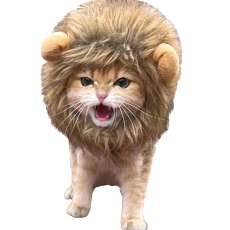 Funny Polyester Wig with Lion Ears for Pets