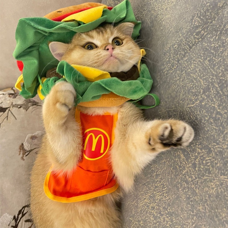 French Fries Bib with Burger Headgear for Cats