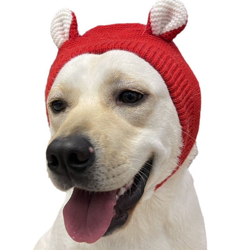 Winter Polyester Dog Hat with Ear Warmers