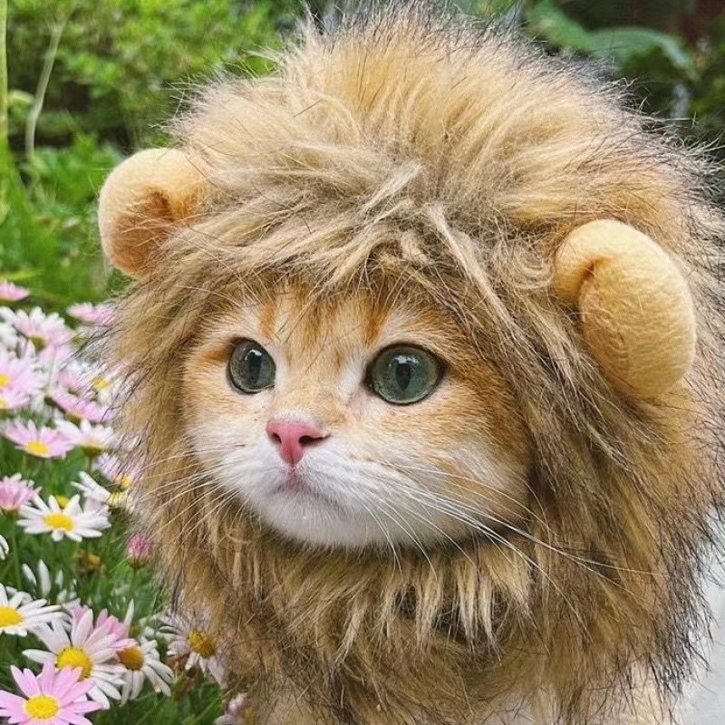 Funny Polyester Wig with Lion Ears for Pets