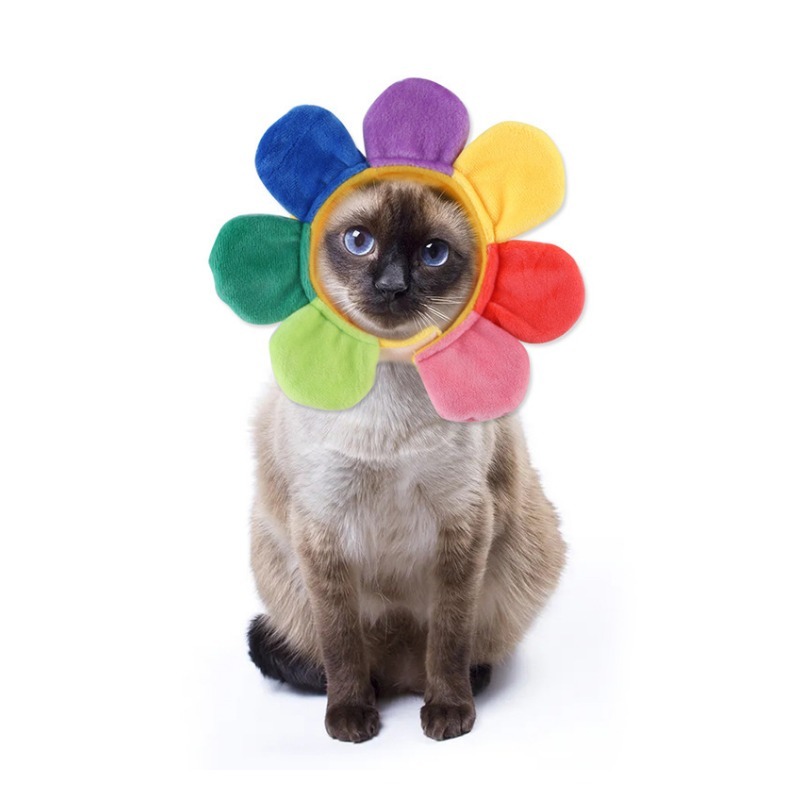 Teddy Bear Sunflower Pet Hat for Halloween