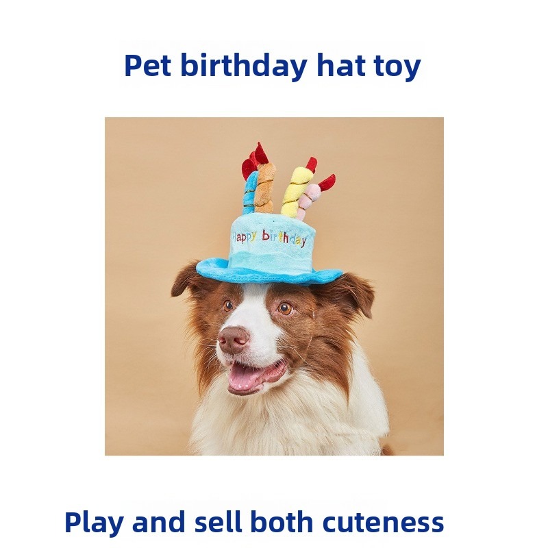 Soft 'Happy Birthday' Pet Party Hat with Candles