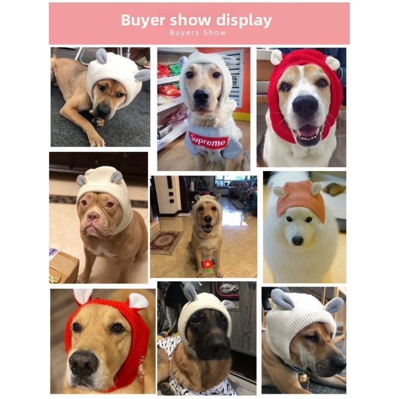 Winter Polyester Dog Hat with Ear Warmers