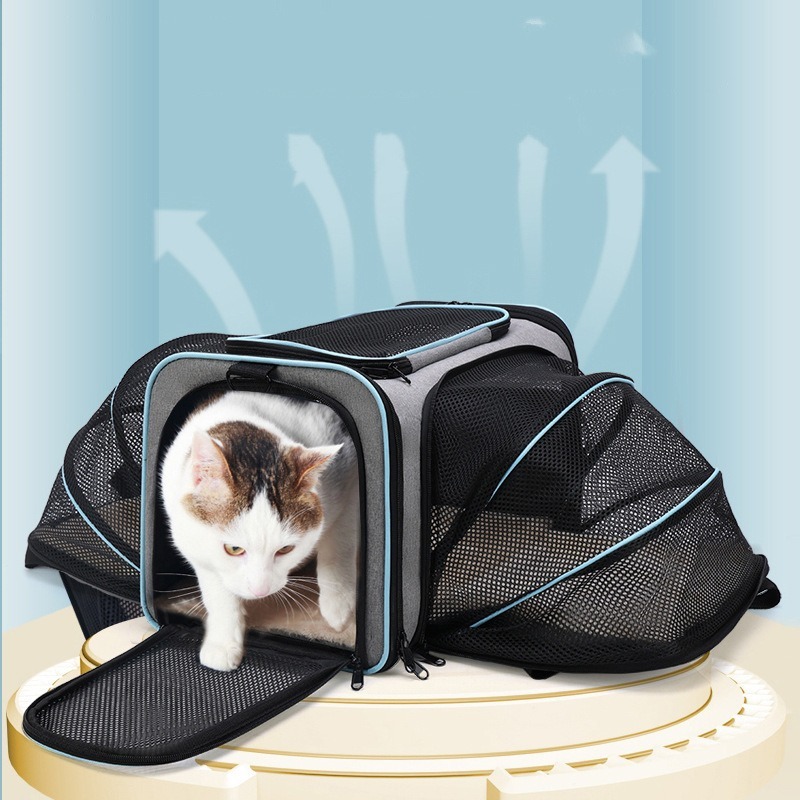 Expandable Outdoor Pet Carrier with Mesh Window