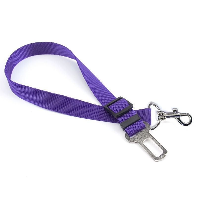 Quick-Release Dog Leash with Alloy Hook and Print