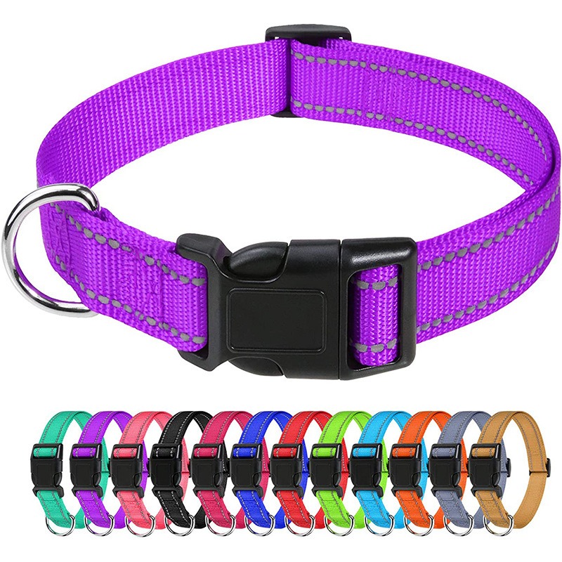 Adjustable Nylon Dog Collar with Quick-Release Buckle