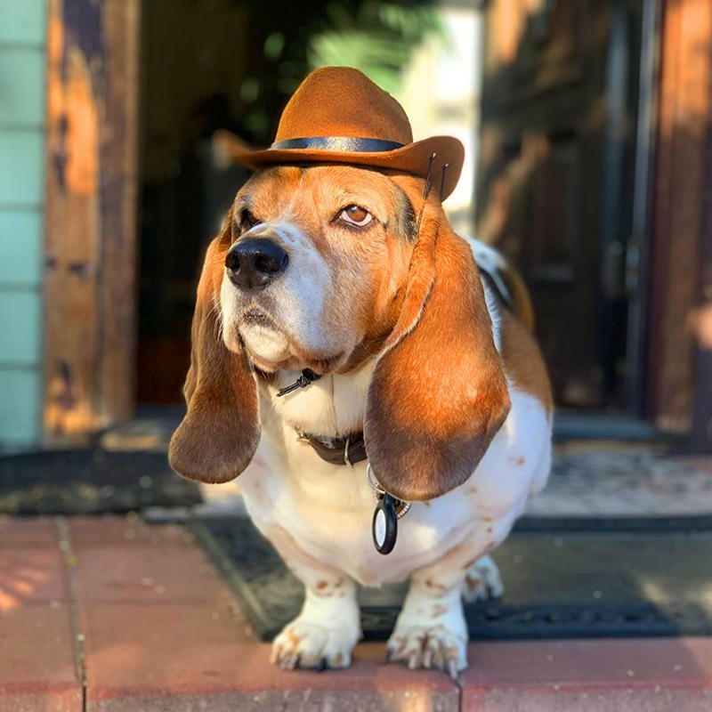 Adjustable Cowboy Mini Hat for Dogs and Cats