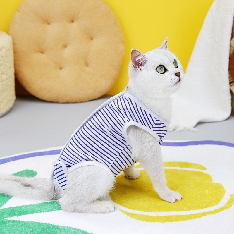 Post-Surgery Recovery Suit for Cats and Dogs