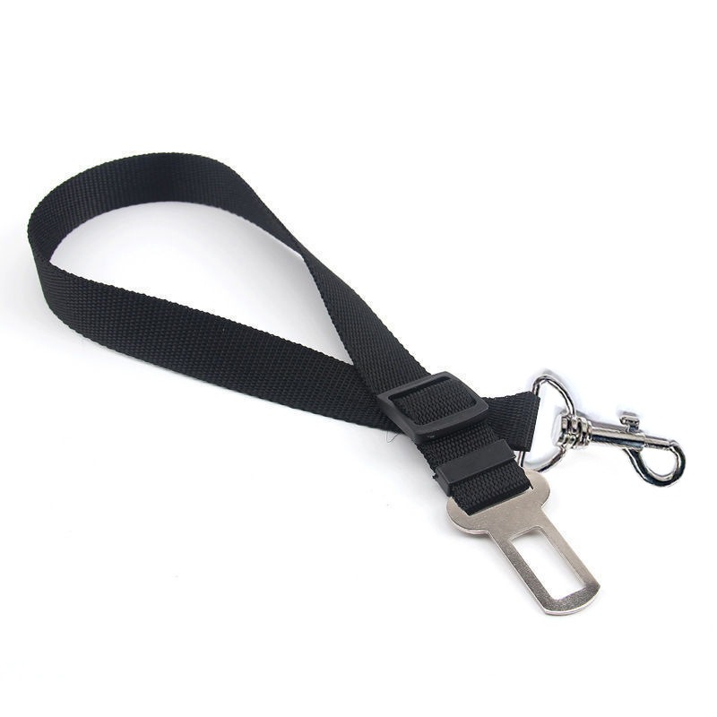 Quick-Release Dog Leash with Alloy Hook and Print