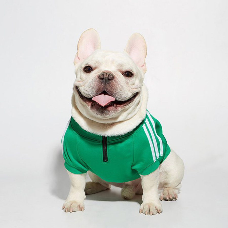 Classic Three Stripe Dog Jacket for Cold Weather