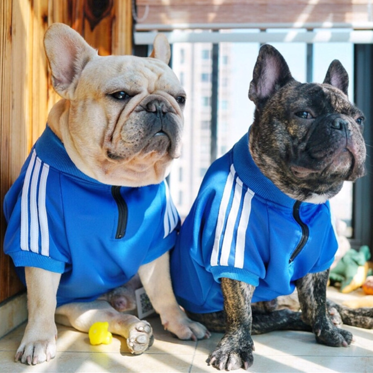 Classic Three Stripe Dog Jacket for Cold Weather