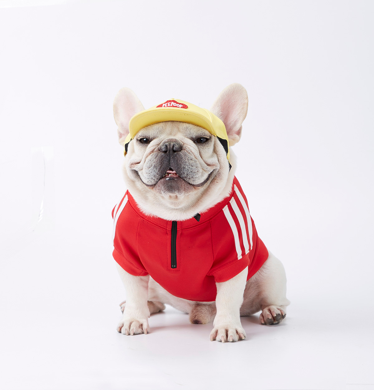 Classic Three Stripe Dog Jacket for Cold Weather