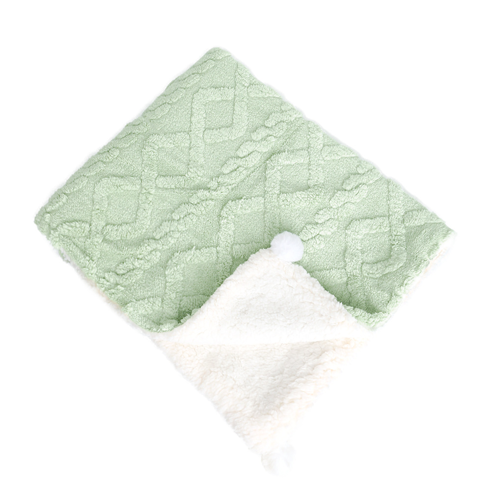 Spring Season Pet Blanket and Sleeping Mat