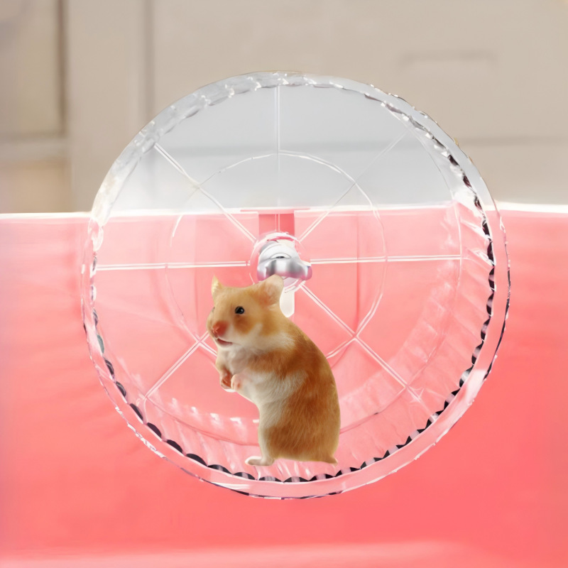 Large Acrylic Hamster Cage with Luxury Accessories