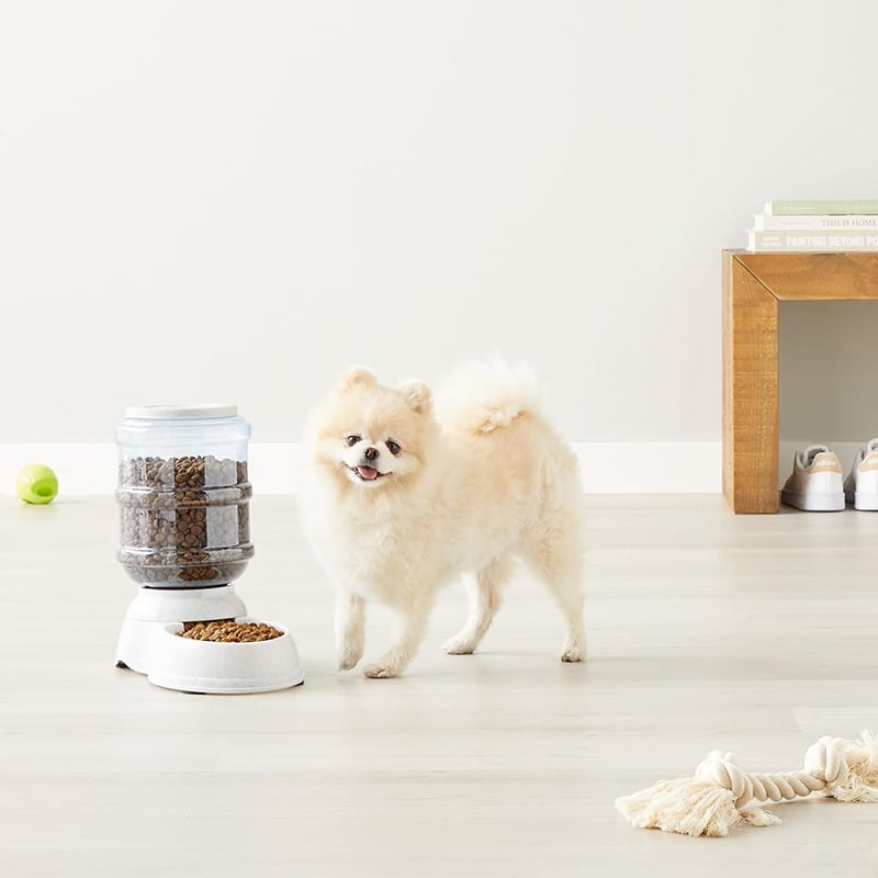 Large Capacity Pet Water Dispenser