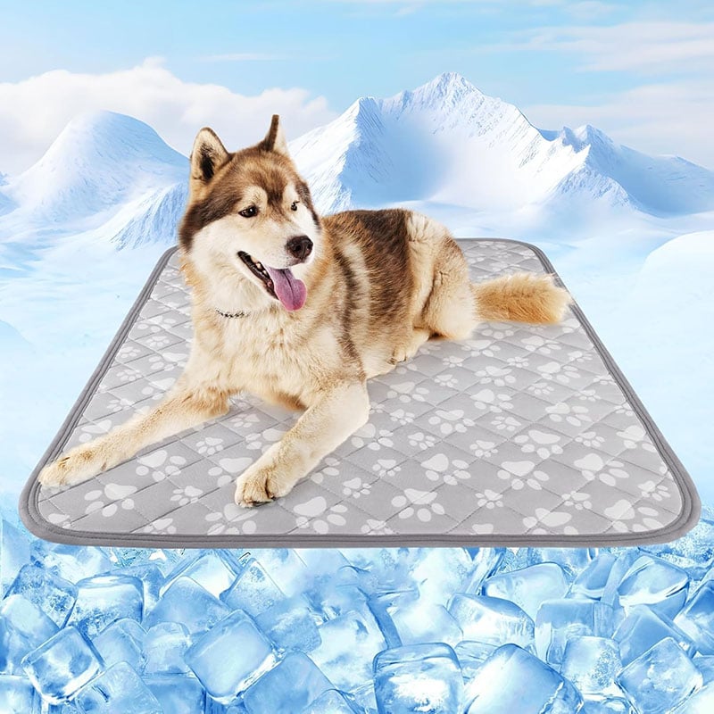 Washable Pet Mat for Dog Beds and Sofas