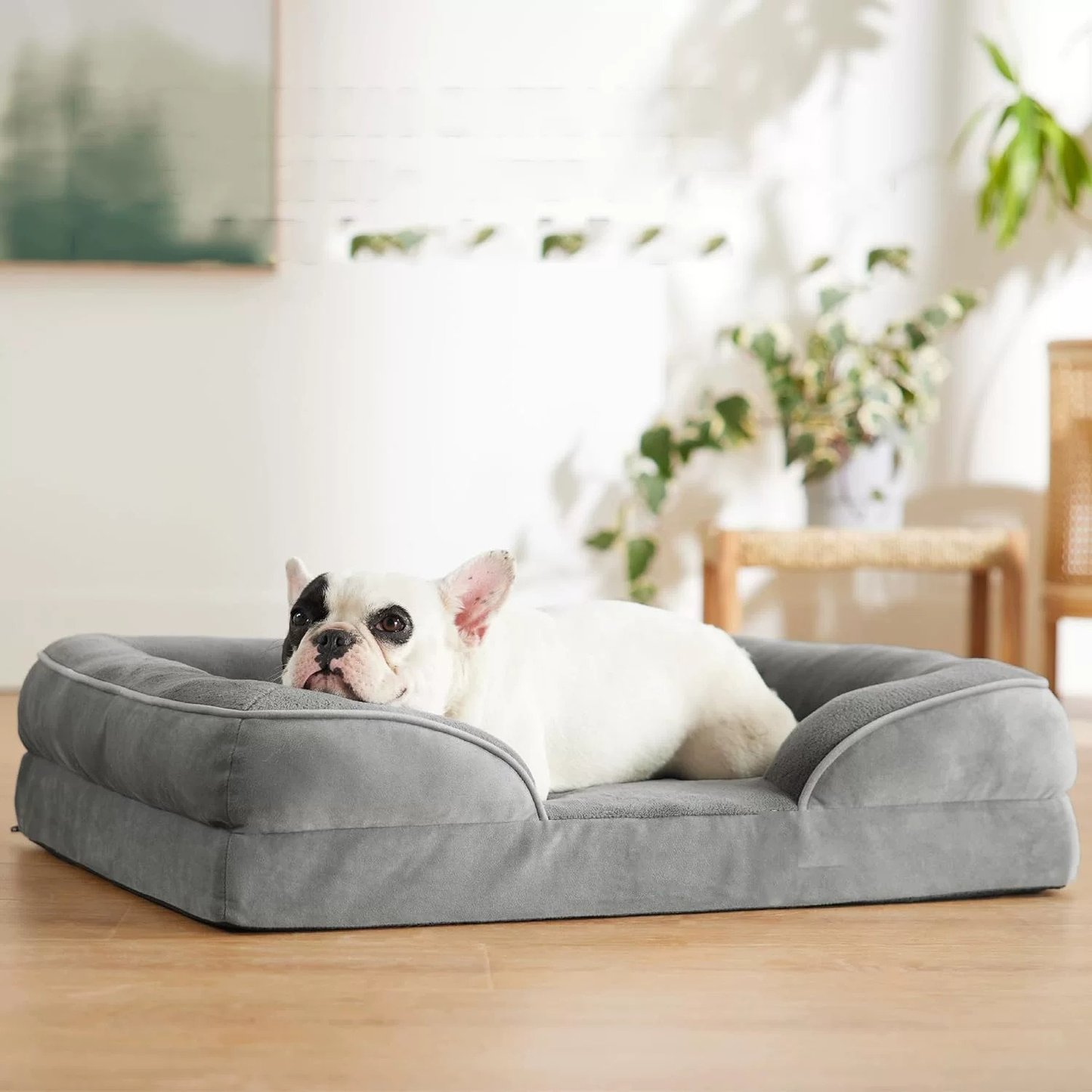 Orthopedic Memory Foam Dog Bed Square Design