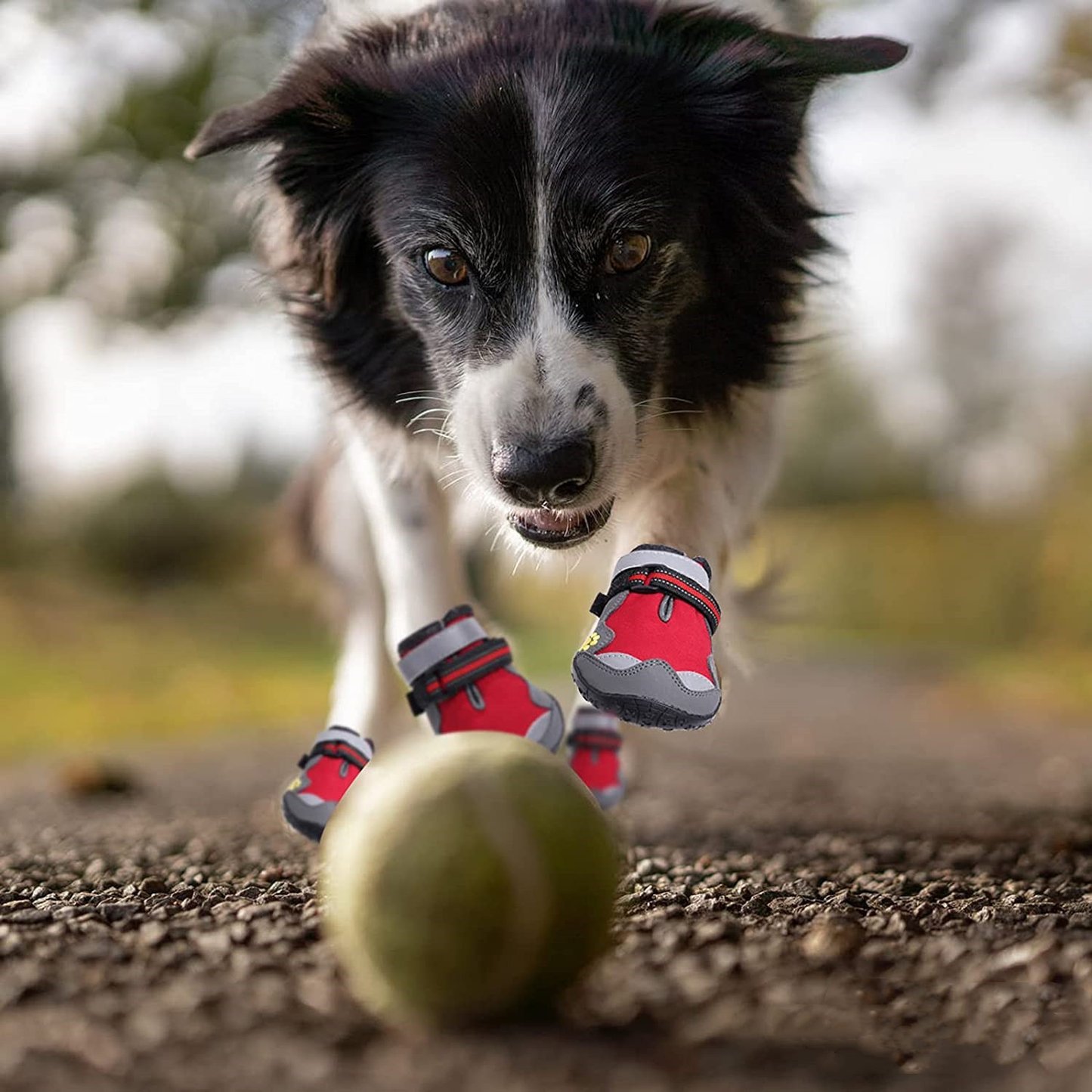 Durable Pet Shoes with Wear-Resistant Soles