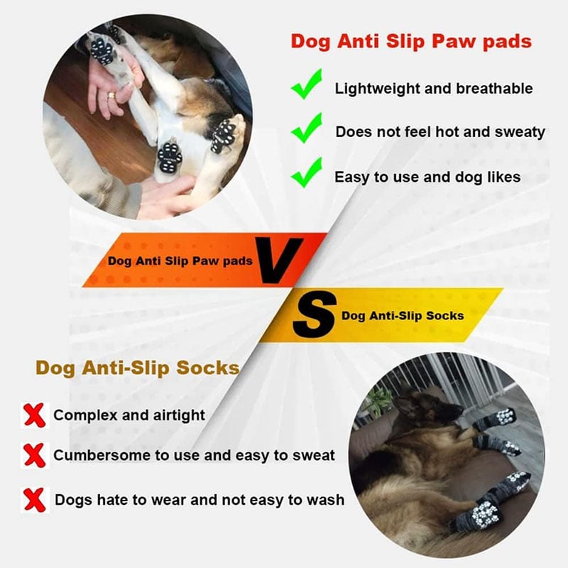 Breathable Summer Casual Pet Footwear