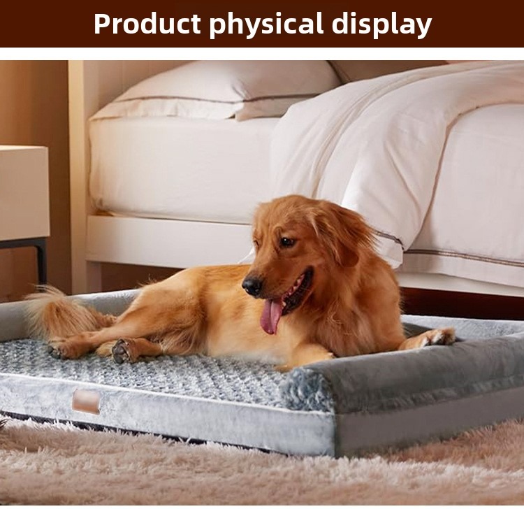 Winter Rescue Shelter for Stray Cats