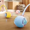 Silicone Automatic Teaser Ball for Cats