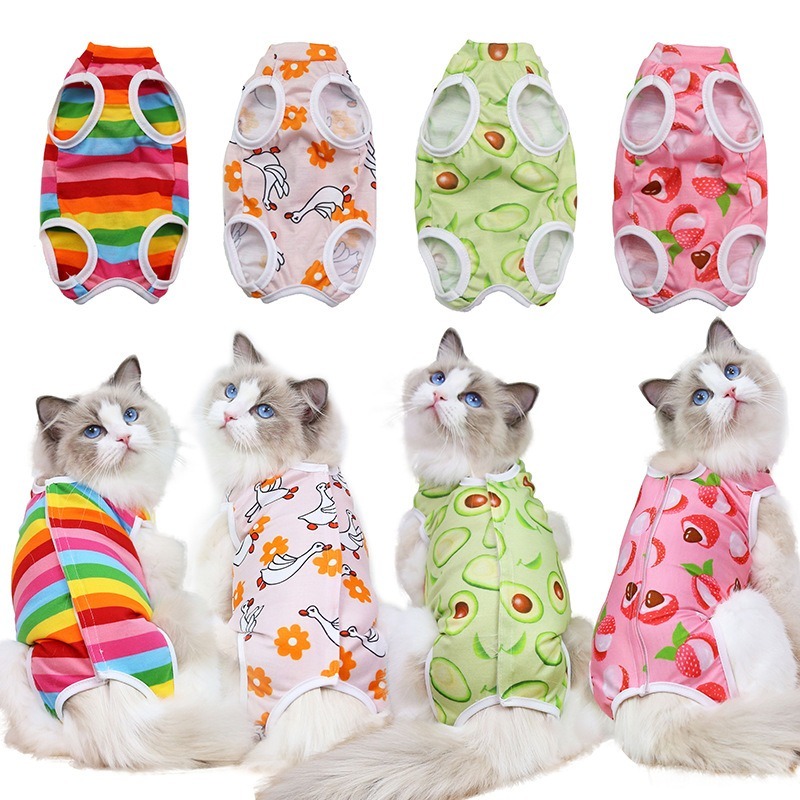 Fruit Pattern Sterilization Coat for Cats