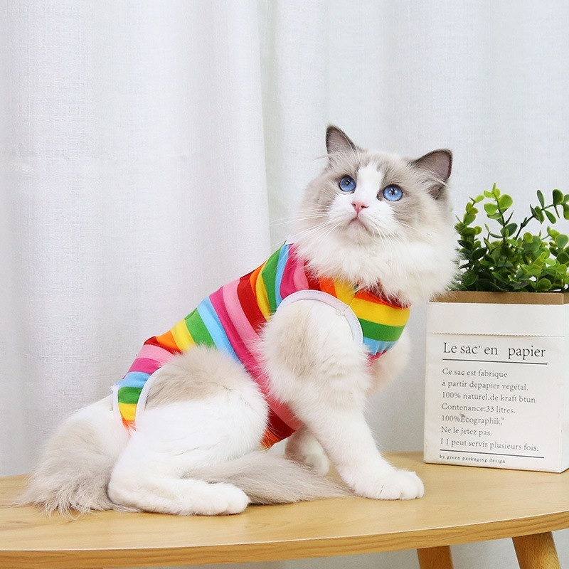 Fruit Pattern Sterilization Coat for Cats