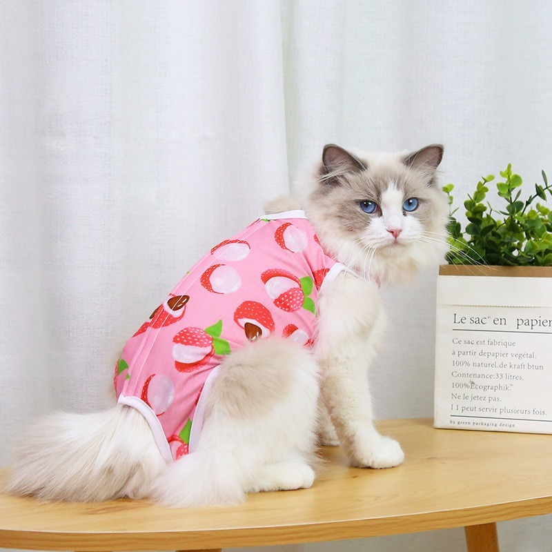 Fruit Pattern Sterilization Coat for Cats