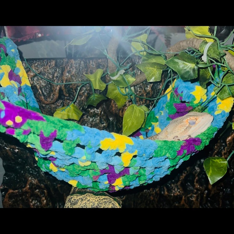 Reptile Hammock with Suction Cups