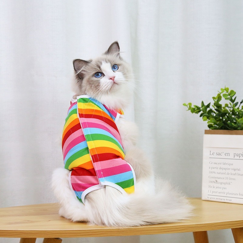 Fruit Pattern Sterilization Coat for Cats
