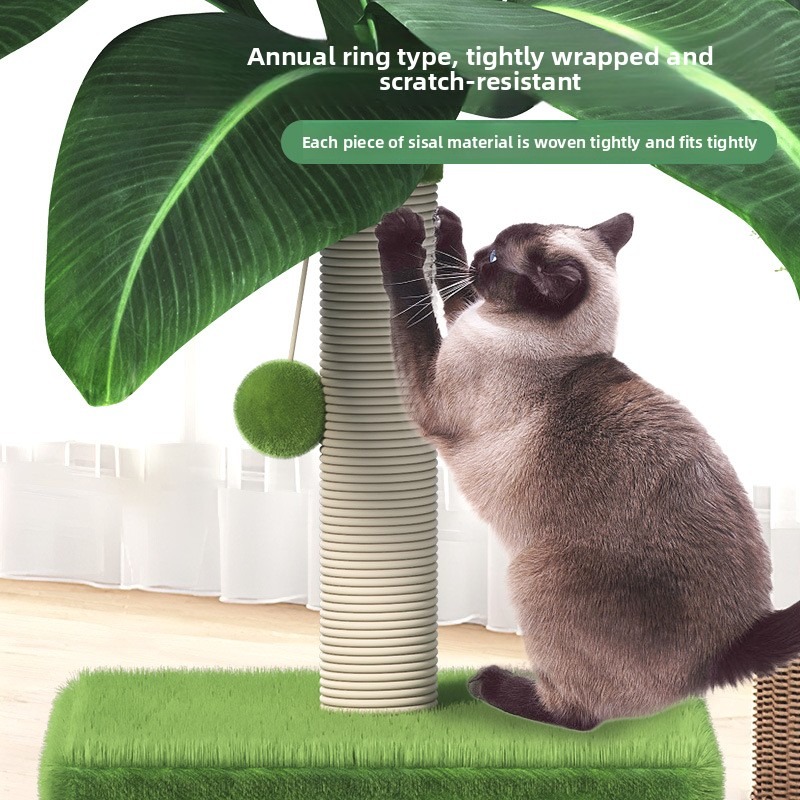 Space-Saving Coconut Tree Cat Climber