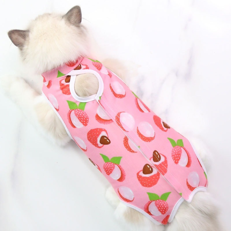 Fruit Pattern Sterilization Coat for Cats
