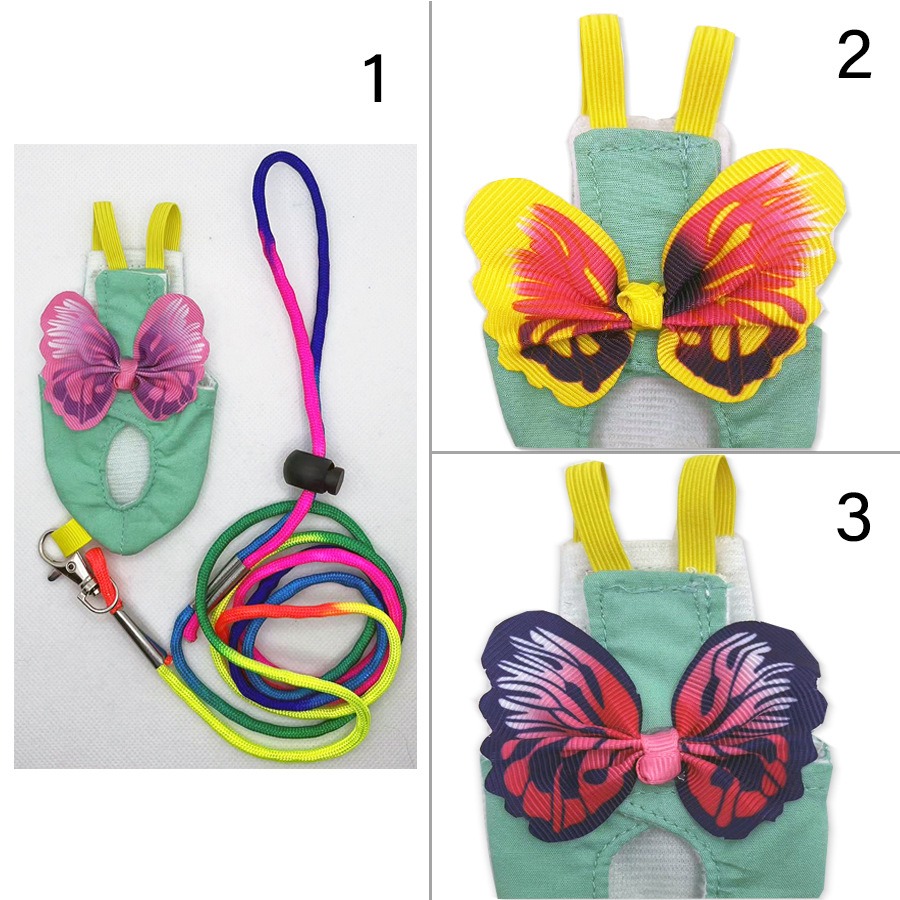 Parrot Vest with Butterfly Wing Design