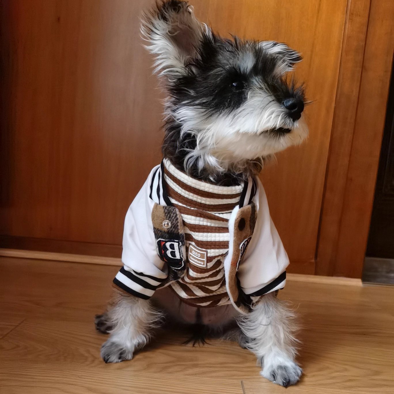 Two-Legged Baseball Suit for Small Dog Breeds