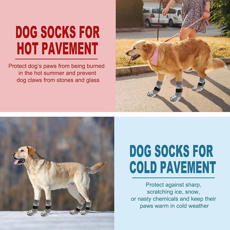 Non-Slip Pet Socks for Indoor Quiet Use